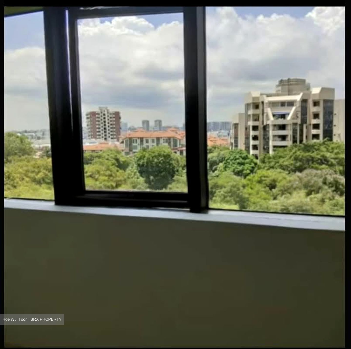 Bayshore Park (D16), Condominium #552412631